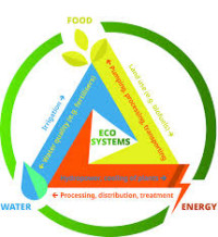 Task Force on the Water-Food-Energy Ecosystems Nexus Geneva 2026